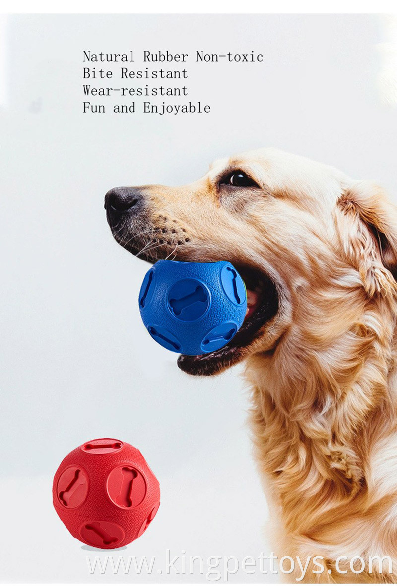 Pet Ball Interactive Dog Toy Ball